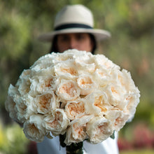 Exquisite Roses + Baby's Breath [Newsletter Exclusive]
