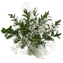 Baby's Breath & Ruscus Leaves
